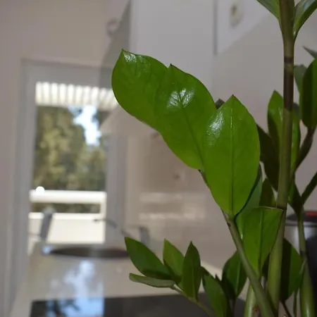 Apartment Kristonia *
