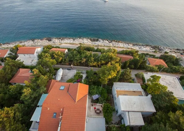 Kristonia *
